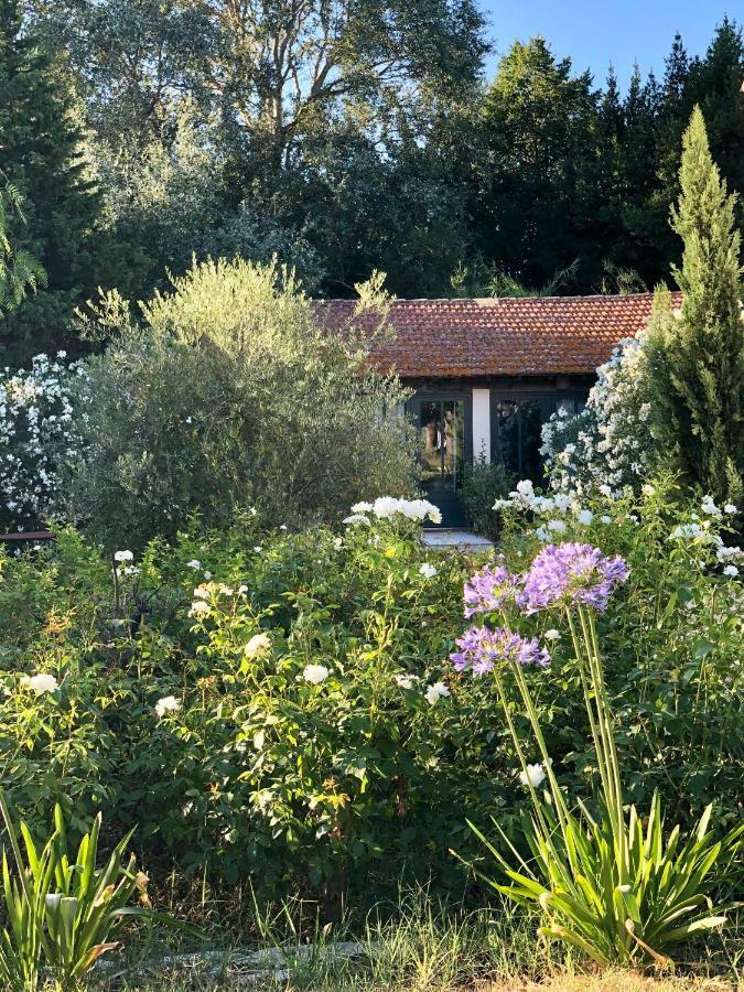 B&B Mas De Caustes Saint-Rémy-de-Provence Exterior photo